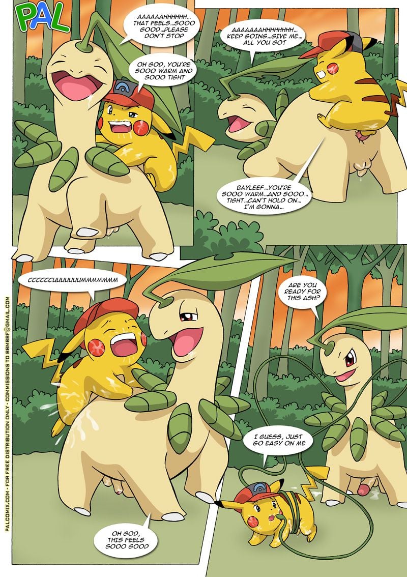 The New Adventures Of Ashchu (Pokemon) [PalComix] - Chapter 1 — Page 89