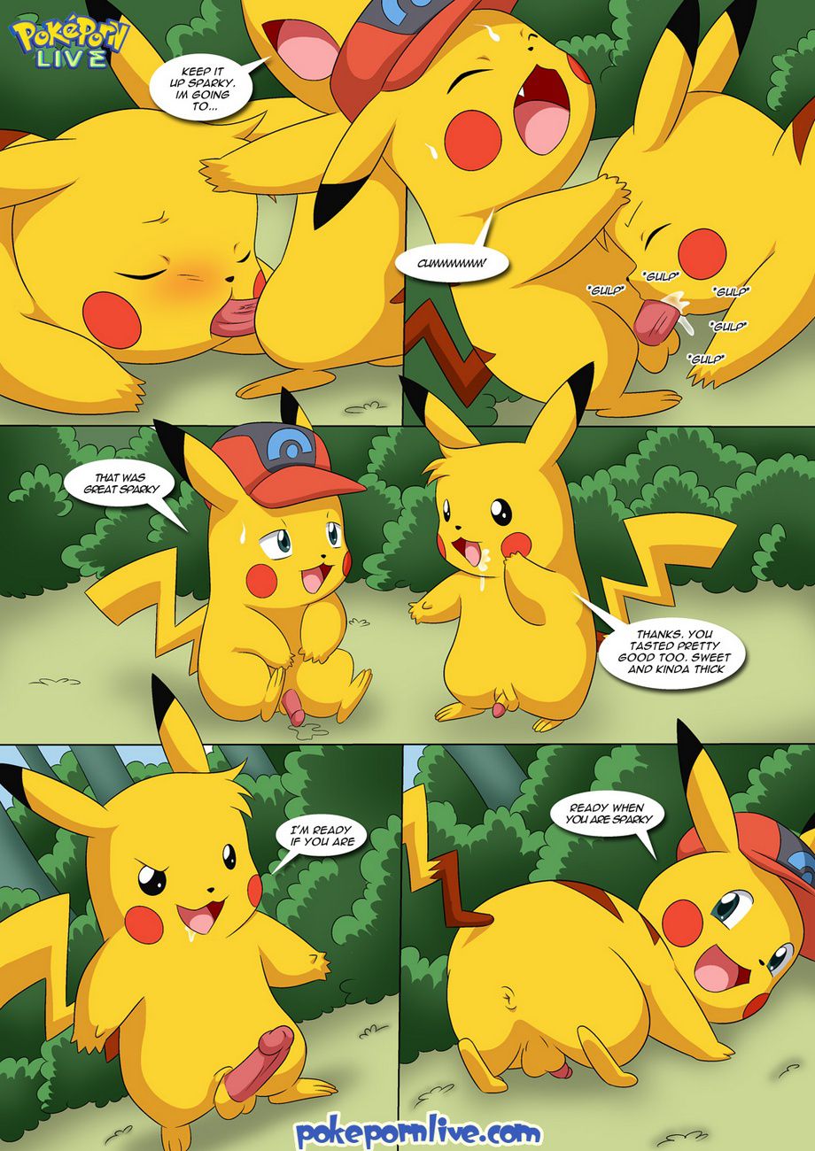 The New Adventures Of Ashchu (Pokemon) [PalComix] - Chapter 2 — Page 82