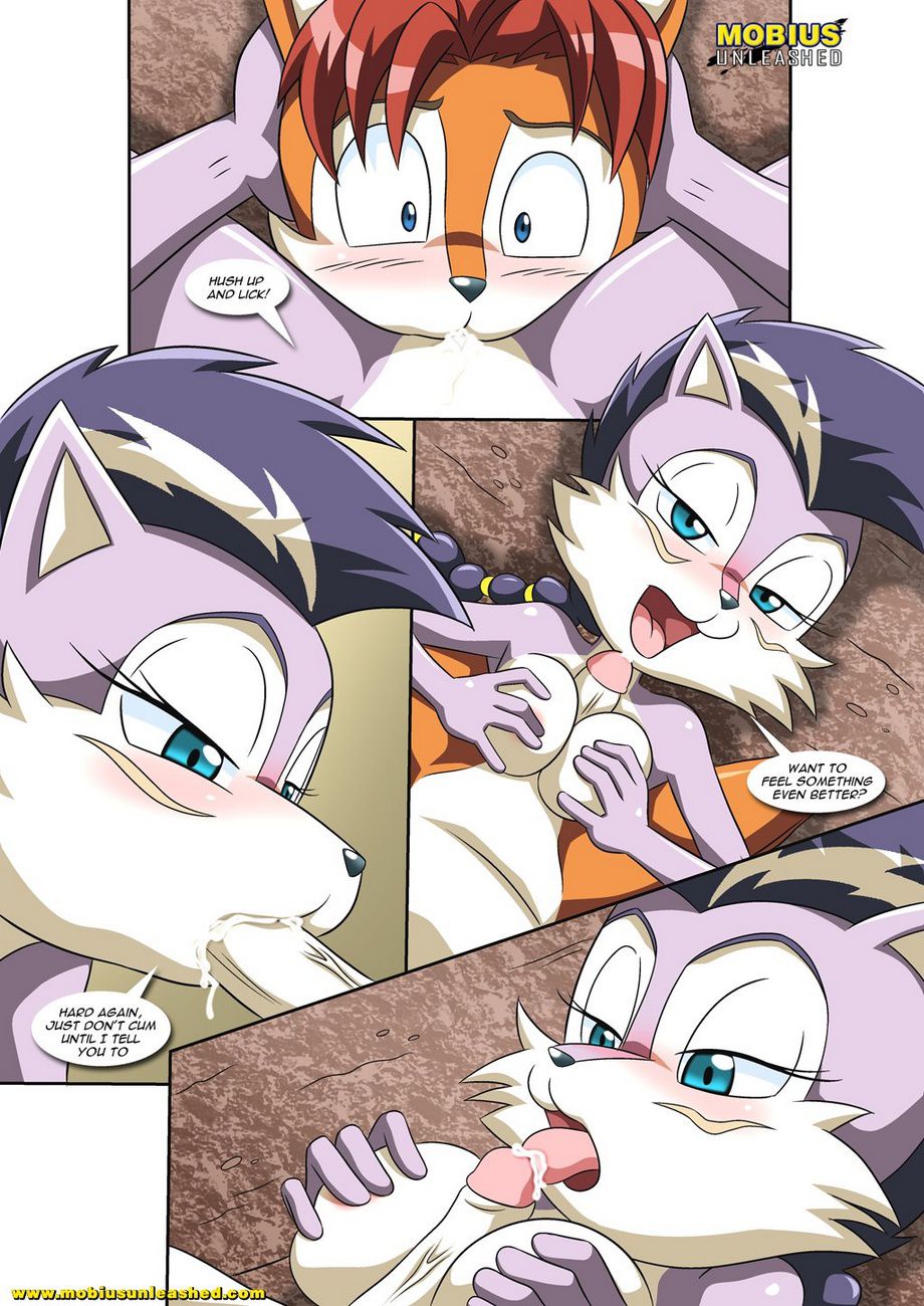 A Wolf Pack Affair (Sonic the Hedgehog) [Palcomix] - Chapter 1 — Page 11