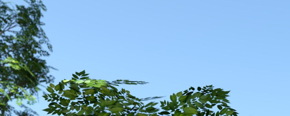 Locker Room Lust [TabooMania] - Chapter 1 — Page 11