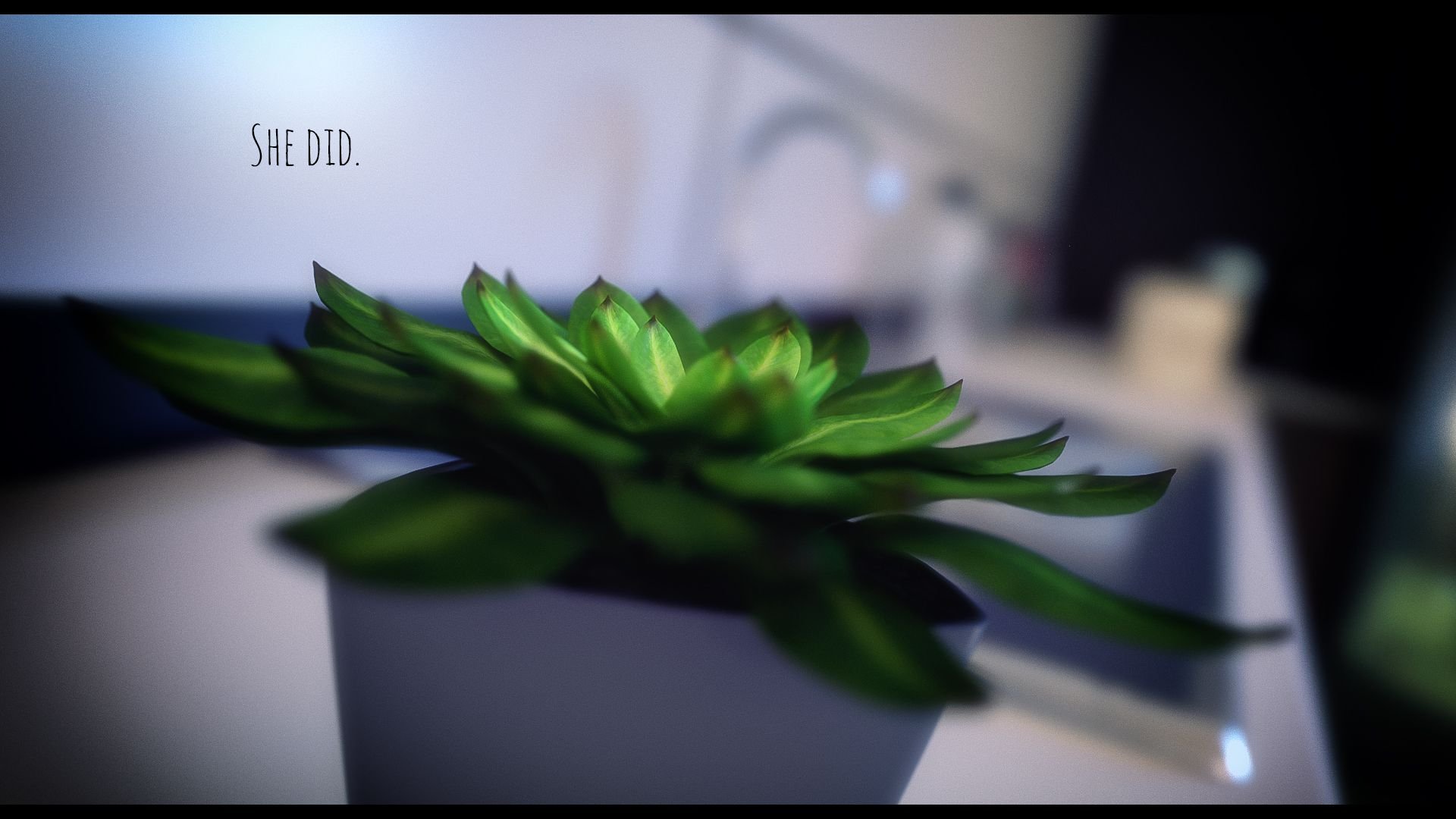 No Justice Is Wicked [Noxlore] - Chapter 1 — Page 244