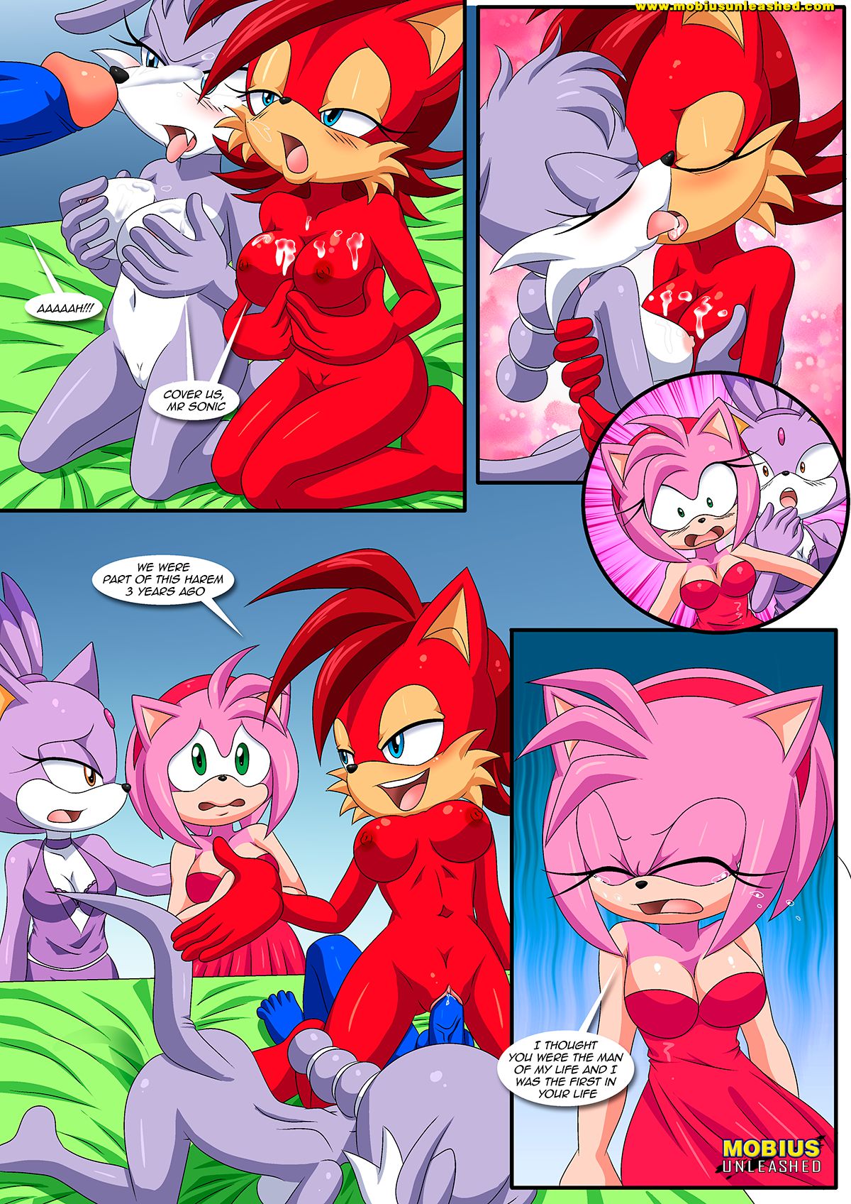 Burning Love (Sonic the Hedgehog) [Palcomix , Mobius Unleashed] - Chapter 1 — Page 13