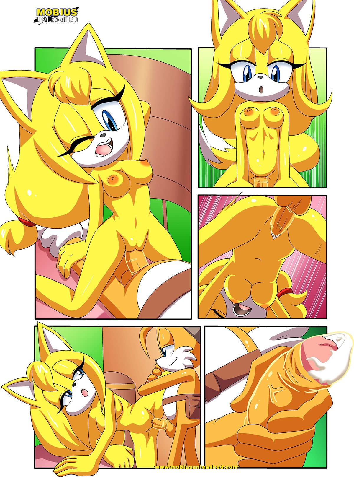 Sexy Boom (Sonic the Hedgehog) [Palcomix] - Chapter 1 — Page 13