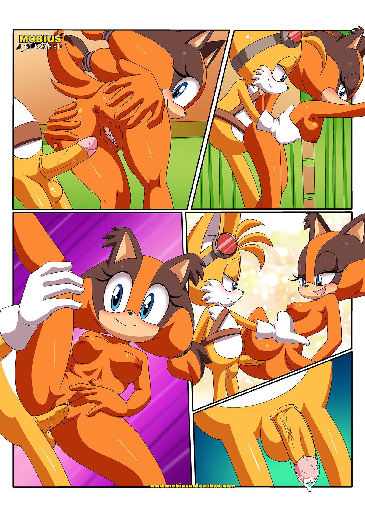 Sexy Boom (Sonic the Hedgehog) [Palcomix] - Chapter 1 — Page 18