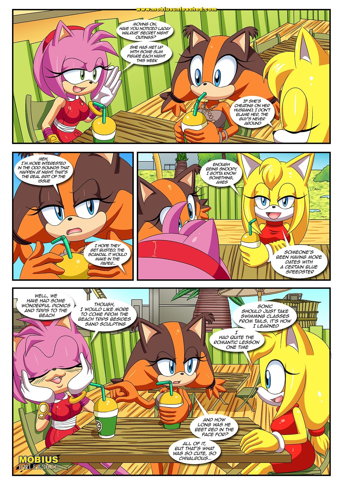 Sexy Boom (Sonic the Hedgehog) [Palcomix] - Chapter 1 — Page 4