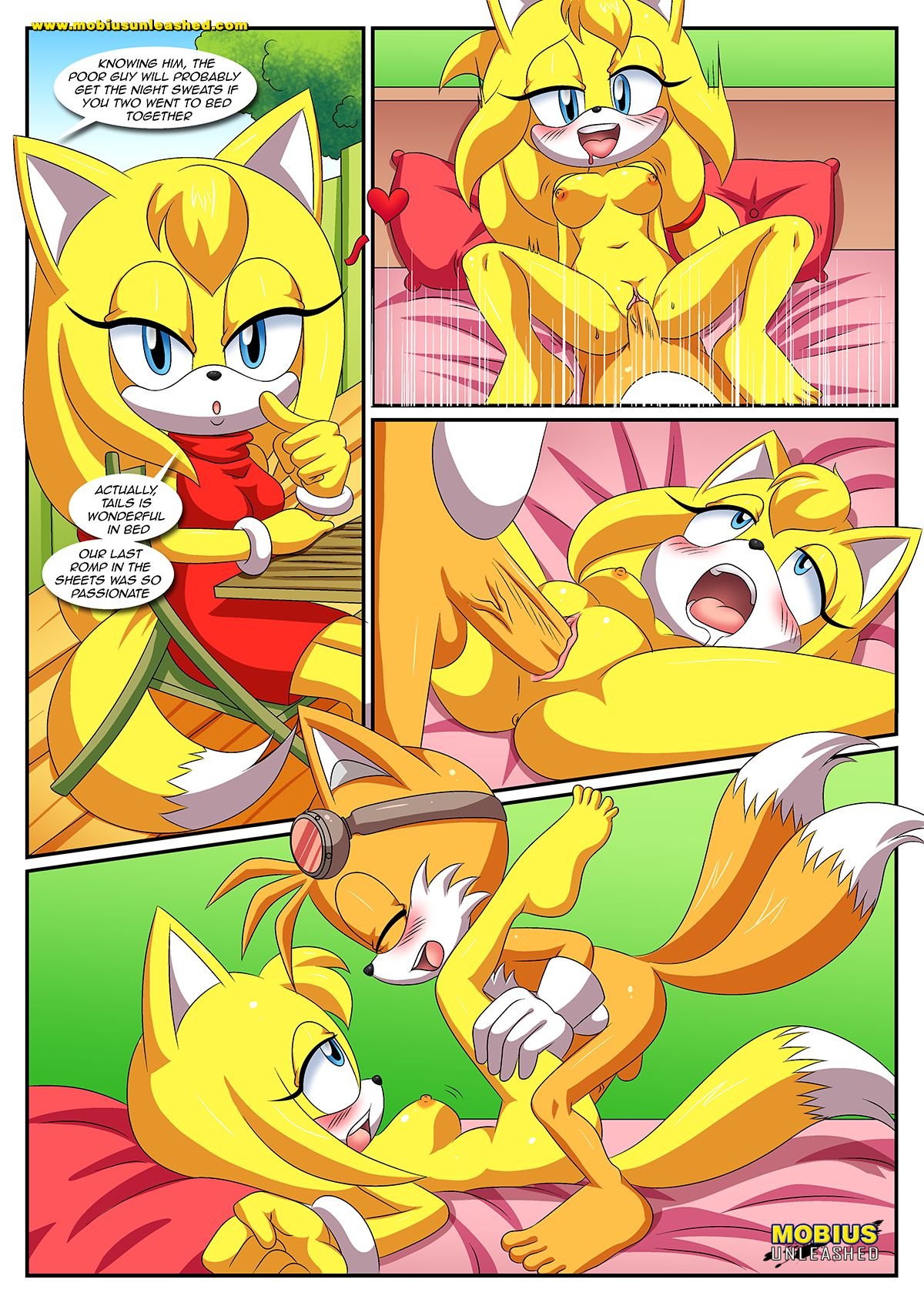 Sexy Boom (Sonic the Hedgehog) [Palcomix] - Chapter 1 — Page 5