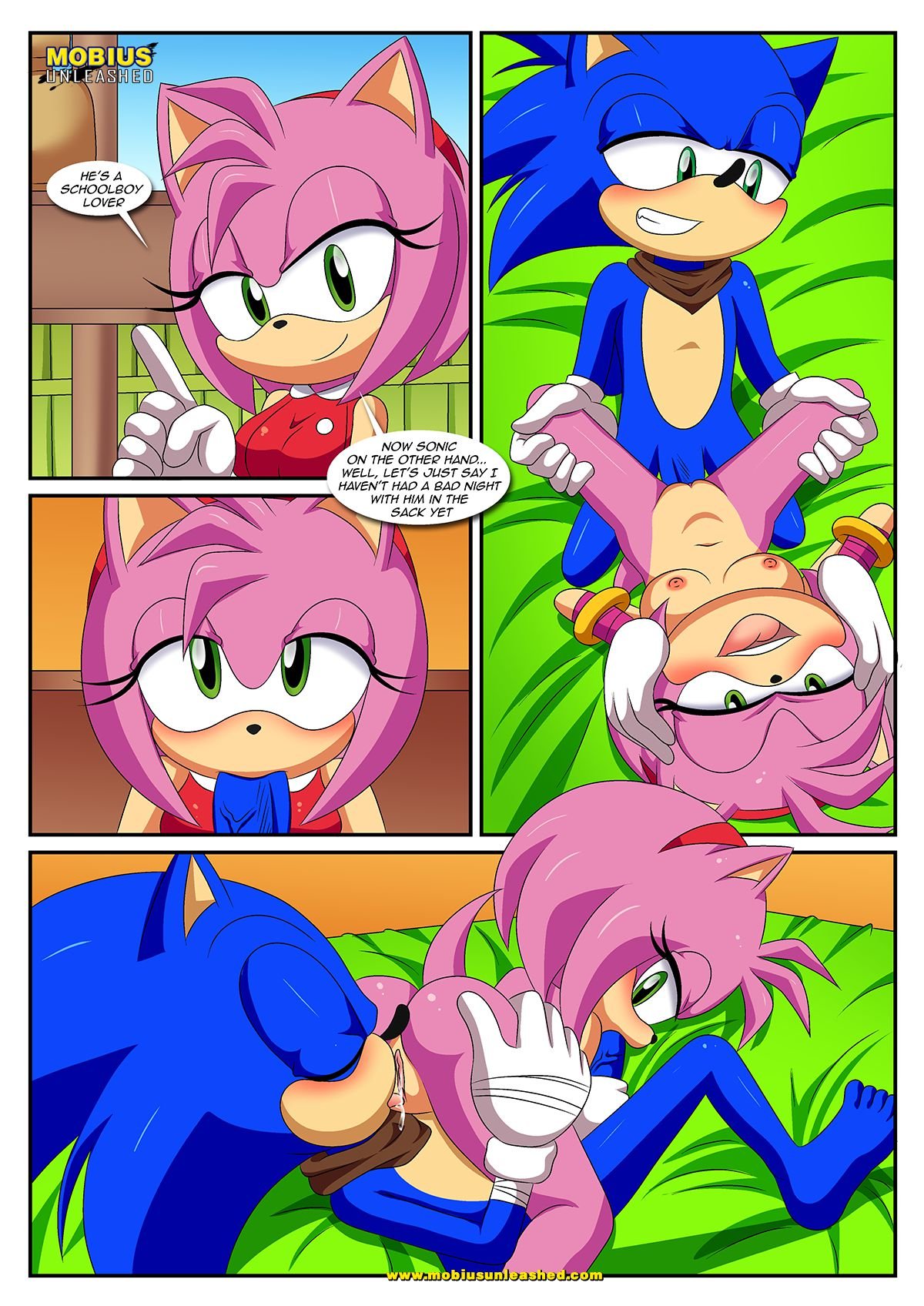 Sexy Boom (Sonic the Hedgehog) [Palcomix] - Chapter 1 — Page 6
