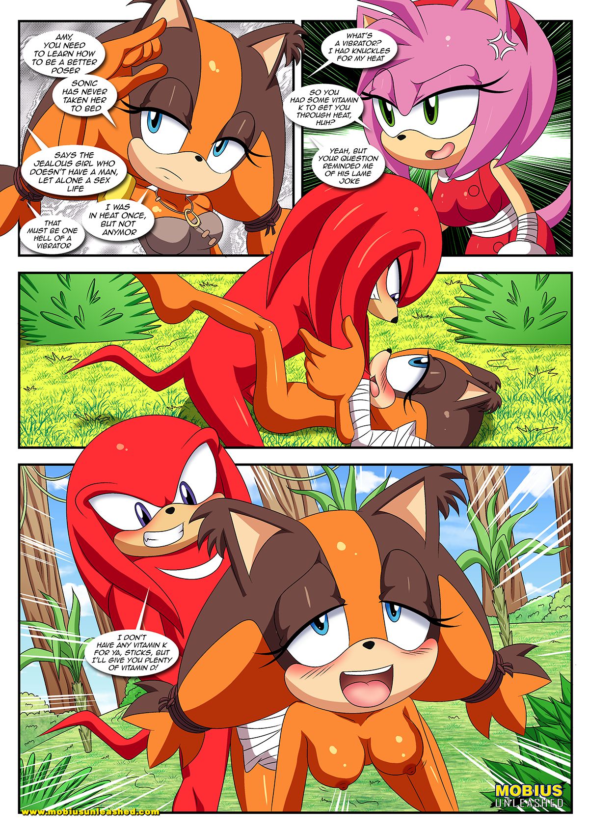 Sexy Boom (Sonic the Hedgehog) [Palcomix] - Chapter 1 — Page 7