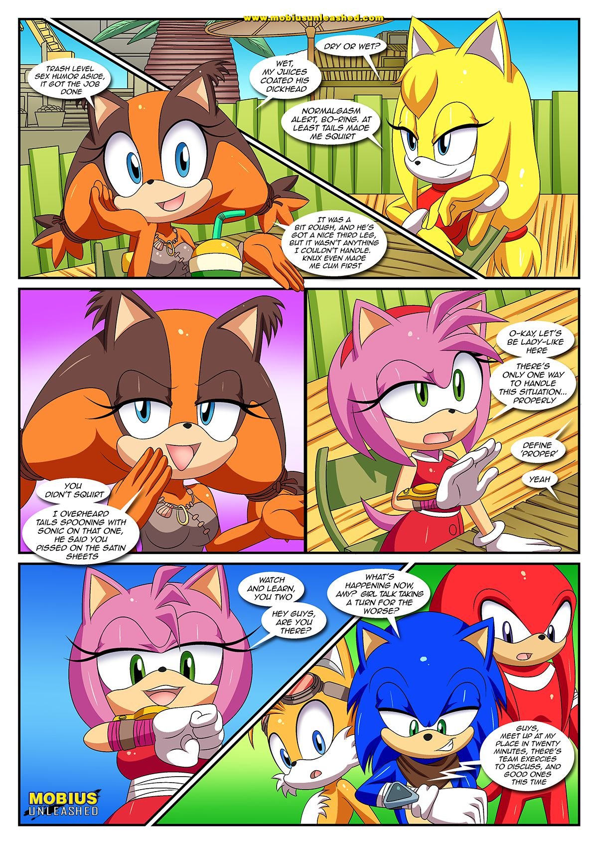 Sexy Boom (Sonic the Hedgehog) [Palcomix] - Chapter 1 — Page 8
