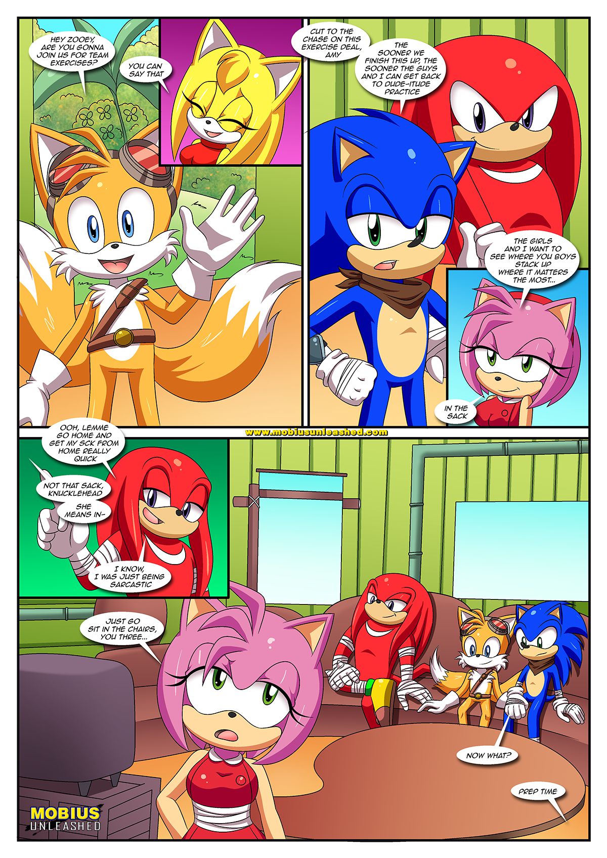 Sexy Boom (Sonic the Hedgehog) [Palcomix] - Chapter 1 — Page 9
