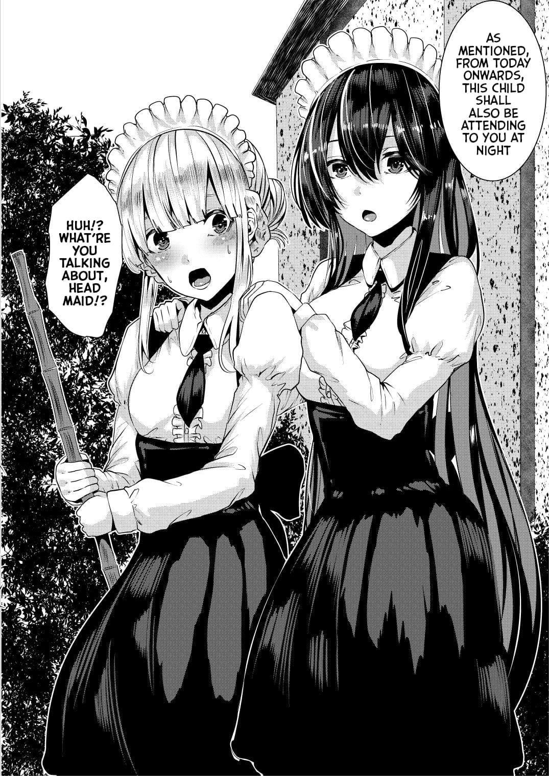 Lots Of Lewd Loving With Both My Warm And Cold Maids [Bota Mochito] - Chapter 1 — Page 5