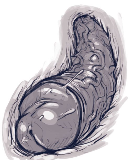 Artworks And Misc. (Various) [DevilHS] - Chapter — Page 58