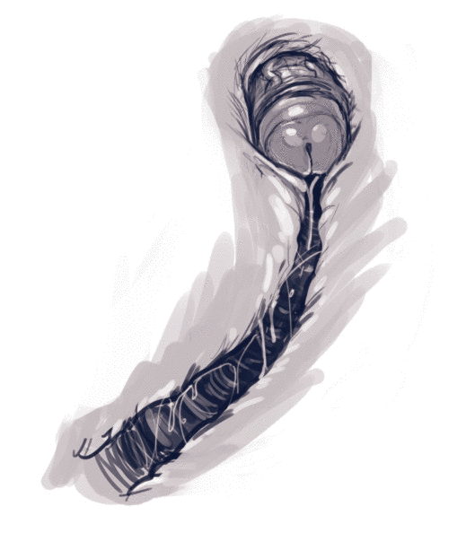 Artworks And Misc. (Various) [DevilHS] - Chapter — Page 99