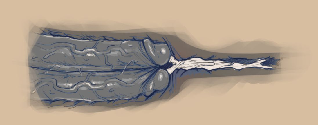 Artworks And Misc. (Various) [DevilHS] - Chapter — Page 48