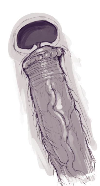 Artworks And Misc. (Various) [DevilHS] - Chapter — Page 27