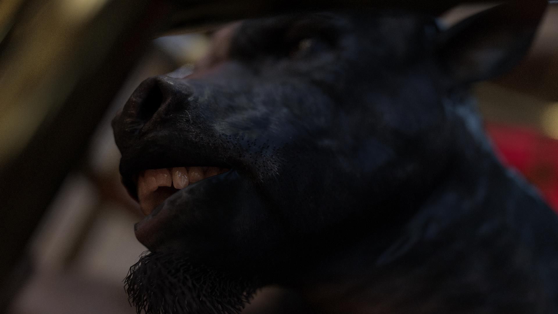 Broken [SquarePeg3D] - Chapter 2.5 — Page 14