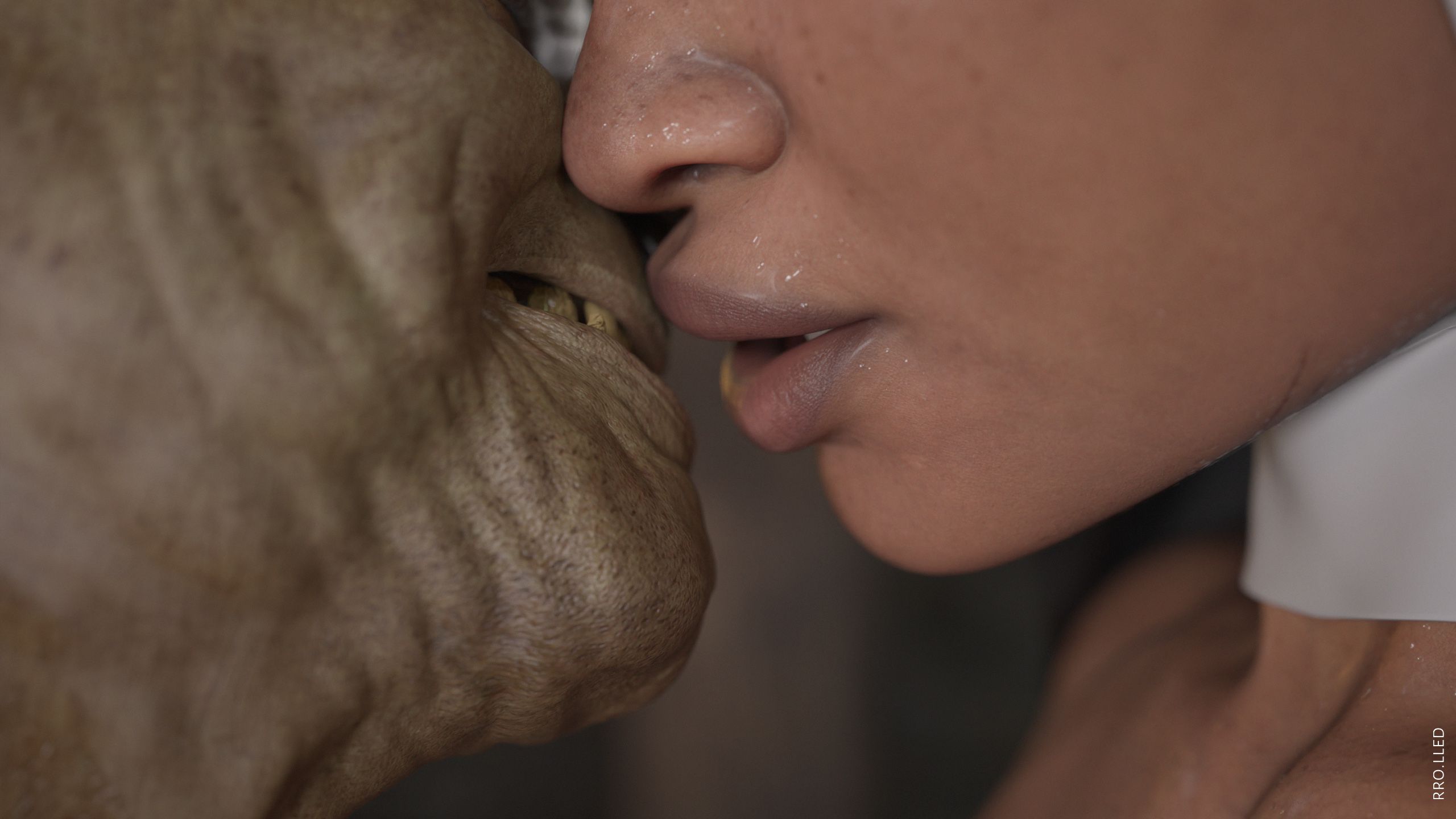 Goblin and Nun [Rro.lled] - Chapter 1 — Page 12