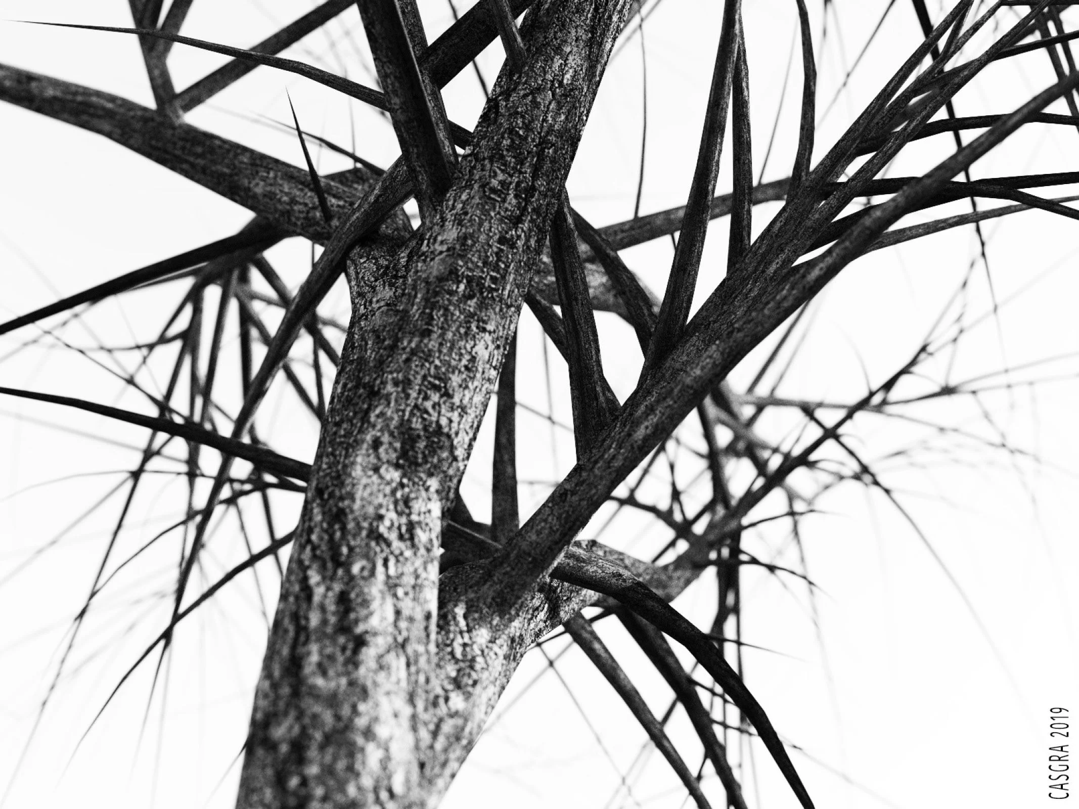 Old Mack And The Lovely Bridget [Casgra] - Chapter 1.2 — Page 32