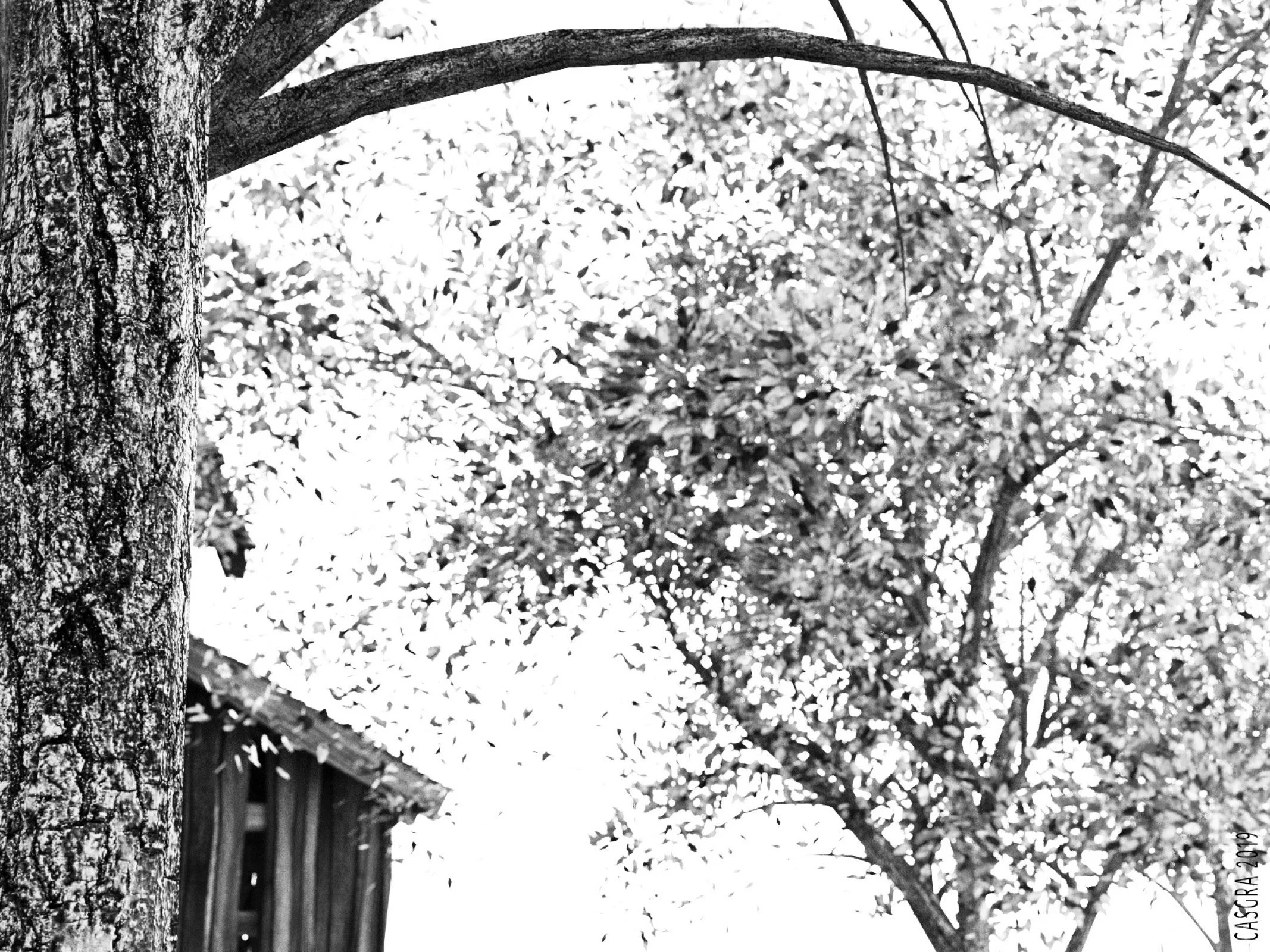 Old Mack And The Lovely Bridget [Casgra] - Chapter 1.2 — Page 40