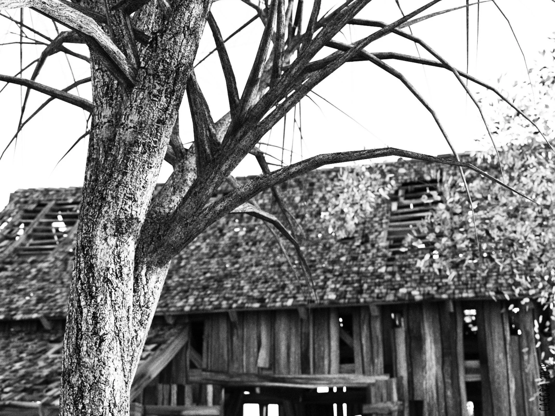 Old Mack And The Lovely Bridget [Casgra] - Chapter 1.2 — Page 54