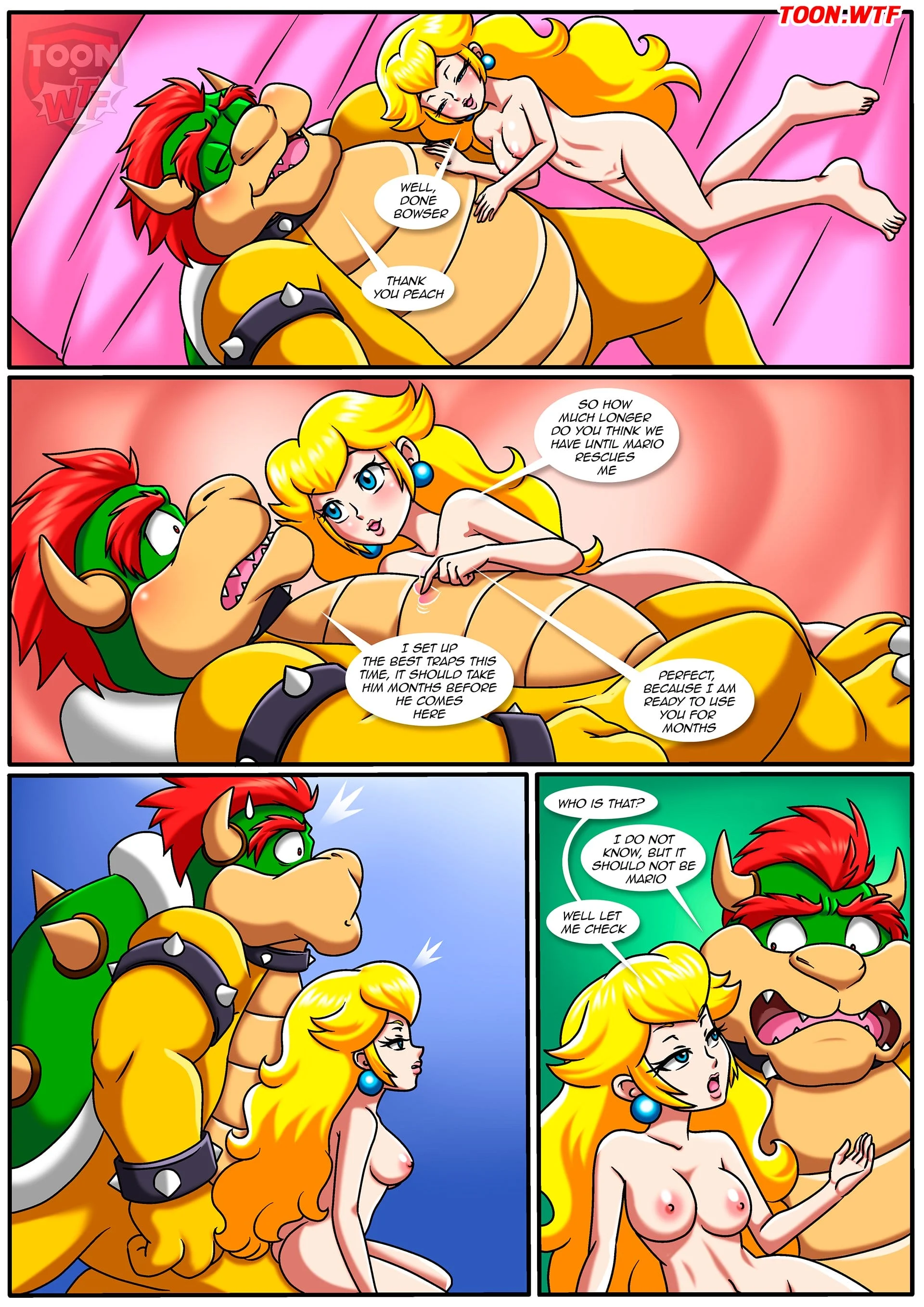 The Mushroom Kingdom Secret (Mario Series) [PalComix] - Chapter 1 — Page 15