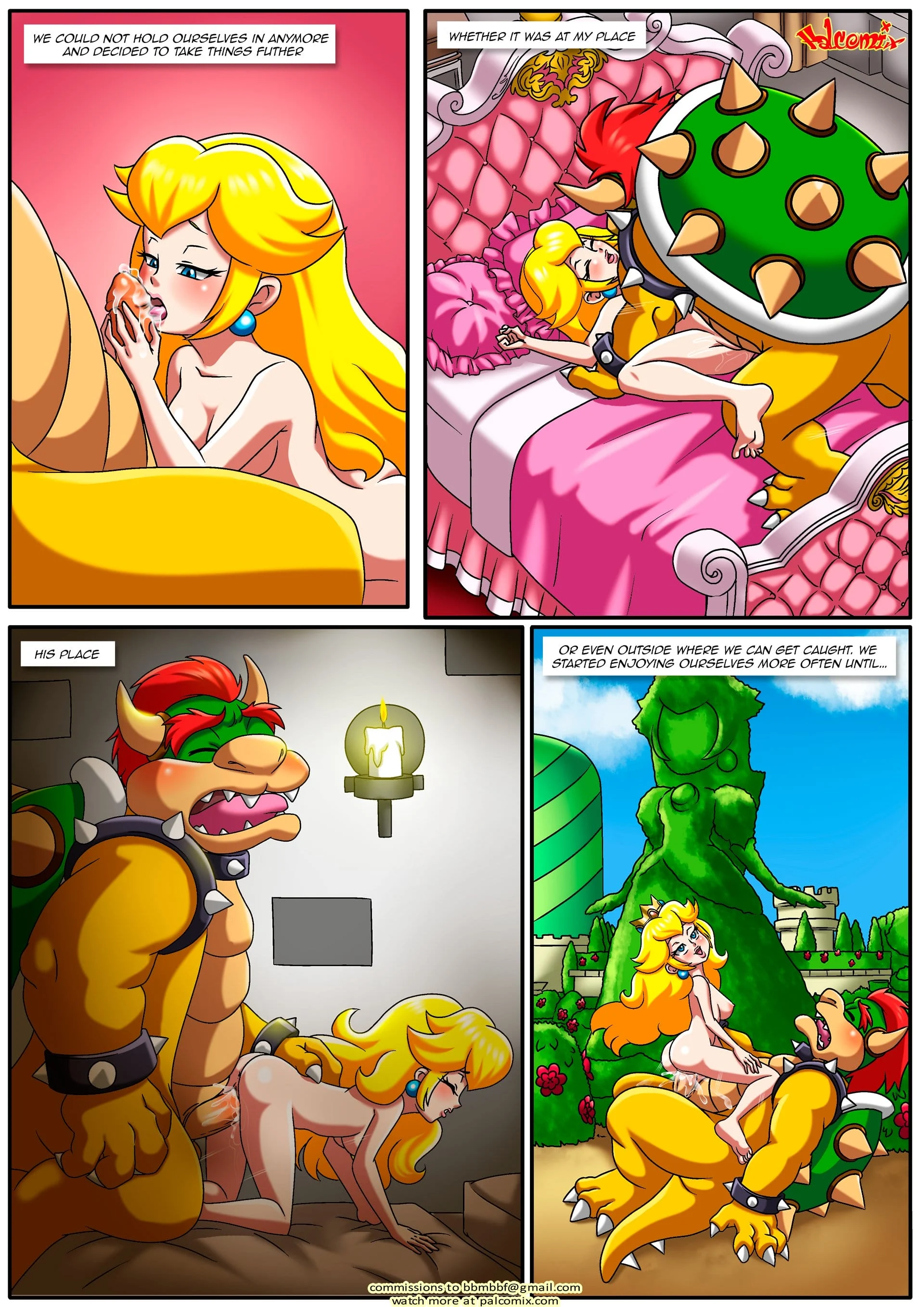 The Mushroom Kingdom Secret (Mario Series) [PalComix] - Chapter 1 — Page 7
