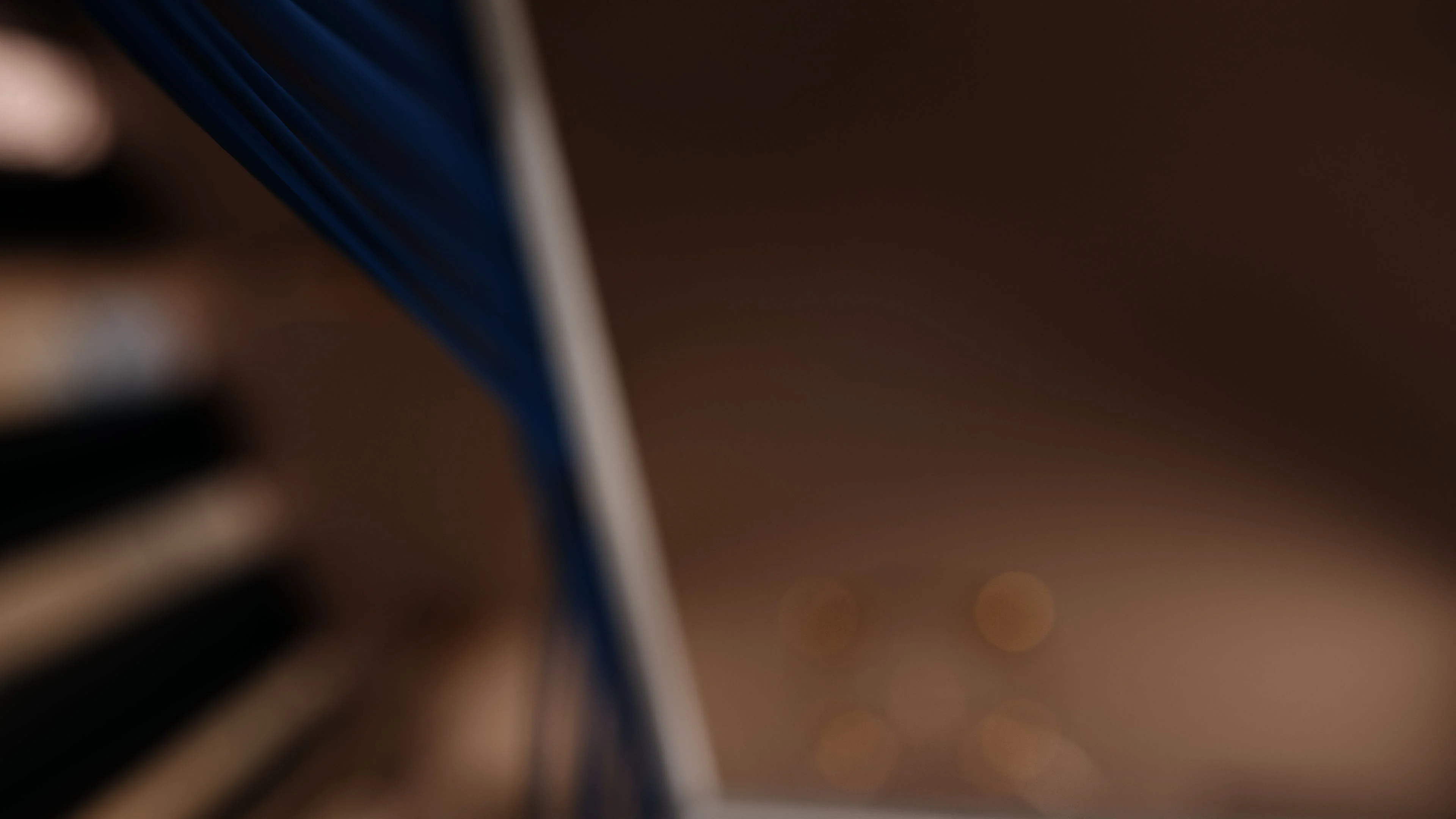 Resident Lust (Resident Evil) [PervertMuffinMajima] - Chapter 1.3 — Page 31